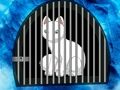 Spill Snow Fox Escape online