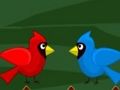 Spill TOCO TOUCAN ESCAPE online