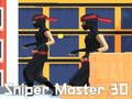 Spill Sniper Master 3d online
