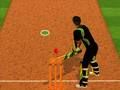 Spill Cricket Batter Challenge online Spill Cricket Batter Challenge online