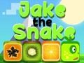 Spill Jake slangen online