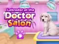 Spill Labrador på legesalongen  online