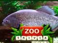 Spill Zoo Trivia online