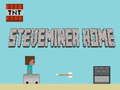 Spill Steveminer Hjem  online