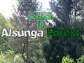 Spill Tilbake til Alsunga-skogen  online