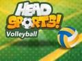Spill Head Sports Volleyball online