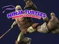 Spill Ninja Turtles Minnekort Match  online