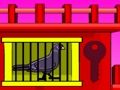 Spill Black Pigeon Escape online