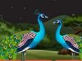 Spill Parrot Escape  online