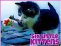 Spill Seks små kattunger  online