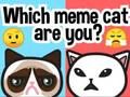 Spill Hvilken memekatt er du?  online