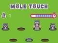 Spill Pole Touch online