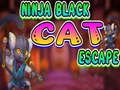 Spill Ninja Black Cat Escape online