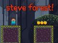 Spill Steve Forest online
