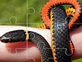 Spill Snakes Puslespill  online