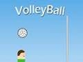 Spill Volleyball online