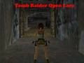Spill Tomb Raider Åpne Lara  online
