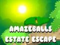 Spill Amazeballs Estate Escape online