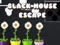 Spill Black House Escape online