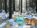 Spill Winter Wonderland Forest Adventure online