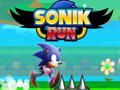 Spill Sonik Run online