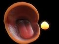 Spill Pac Man  online
