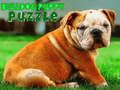 Spill Bulldog Puppy Puzzle online