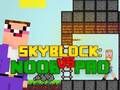 Spill Noob vs Pro Skyblock online