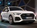 Spill Audi sq5 tdi lysbilde online