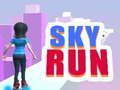 Spill Sky Run online