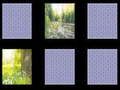 Spill Naturminne  online