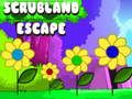 Spill Scrubland Escape online