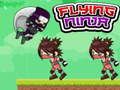 Spill Flyvende ninja  online