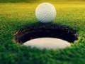 Spill Golfmestere!  online