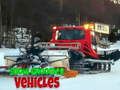 Spill Snow Groomer kjøretøy  online
