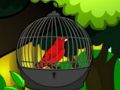 Spill Redd Cage Bird  online