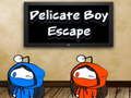 Spill Delikat Boy Escape  online