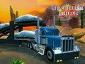Spill 18 Wheeler Driving Sim online