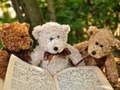 Spill Koselig tre Teddy-stikksag  online