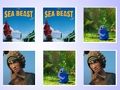 Spill Sea Beast Memory Card Match online