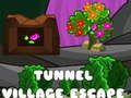 Spill Tunnel Village Escape online