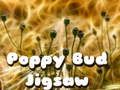 Spill Poppy Bud Jigsaw online