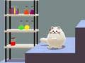 Spill Schrödingers Dual Cat  online