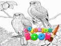 Spill Malebok for voksne  online