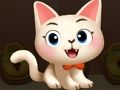 Spill Kitty -kamp online