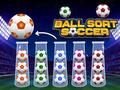 Spill Ballsort fotball  online