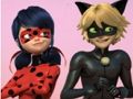 Spill Mirakuløst Ladybug & Cat Noir puslespill  online