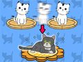 Spill Cat Condo online