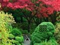 Spill Maple Leaf Garden Escape online