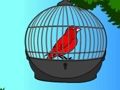 Spill Red Bird Rescue online